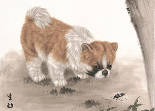1982 Dog Female in 2023 Yearly Horoscope