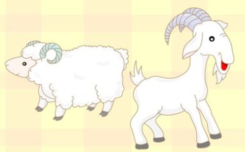 Male Pig Female Horse Marriage