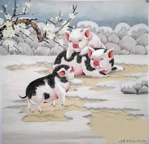 How old is the 1995 Chinese Pig?