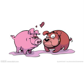 Marital status of the 83rd year Pig