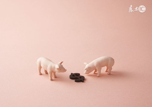 Life Fate of the 71st Year Pig