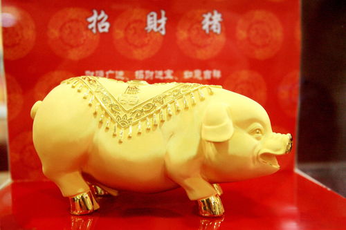 1983 Chinese Pig 2023 Horoscope and Wishes for Women