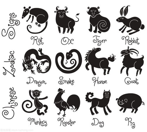 The eight characters in the five elements of the Chinese zodiac (twelve signs of the Chinese zodiac in the five elements of the table)