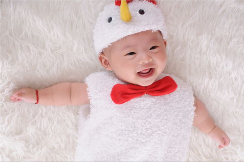 Chicken baby eight names collection