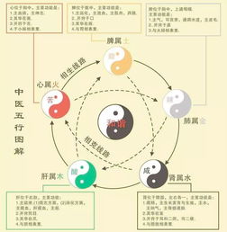 Five elements of fire 八字金和水少(火金火五行名字相克吗)