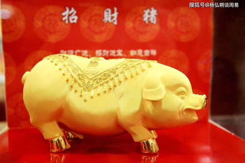 May I ask what is the marriage between a Pig and an Ox?