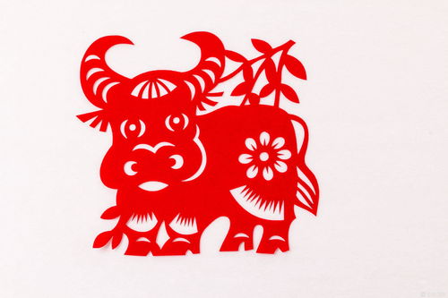 97 Years Ox Five Elements