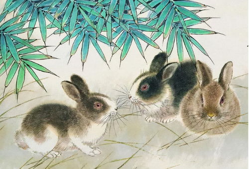 1963 Rabbit Man Marriage