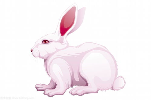 The 1987 Rabbit's Triple Nobleman