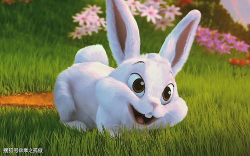Fate of the 1999 Rabbit in August