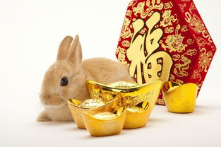 2023 Year of the Rabbit Tiger Horoscope