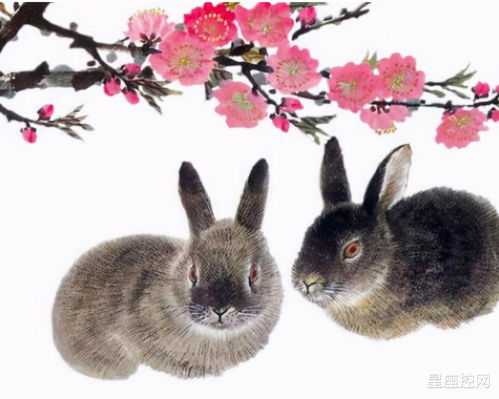 1987 Rabbit's current year of birth