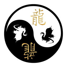 What are the Five Elements of the Rabbit in the year 2023