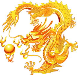 1976 Dragon's luck in the next 5 years