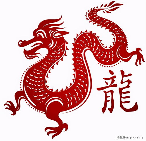 2000 Male Dragon Best Match