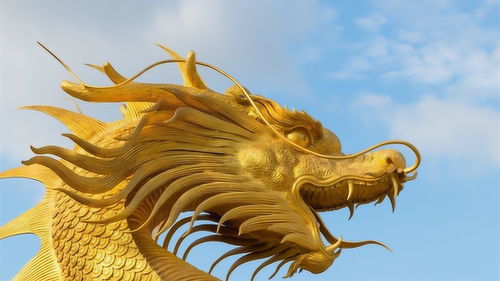 What years was the Dragon born in