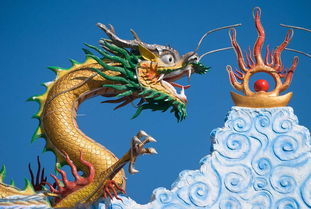 How old will the 1988 Dragon be in 2023?