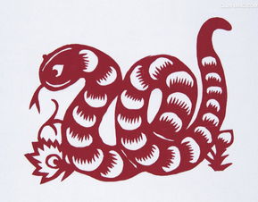 What are the five elements of the snake in 2025?