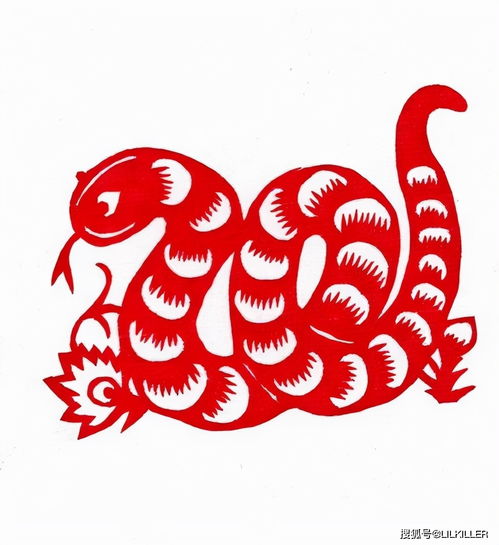 What are the five elements of the snake in 2013?