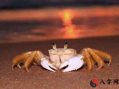 Dreaming of being pinched by a crab