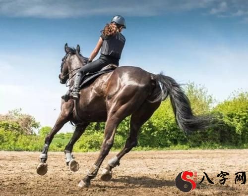 Dreaming of others riding horses