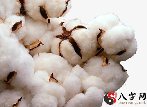 Dreaming of a pile of cotton