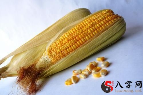 Dreaming of boiled corn