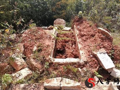 Dreaming of digging open graves