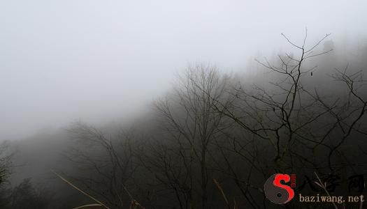 Dreaming of fog