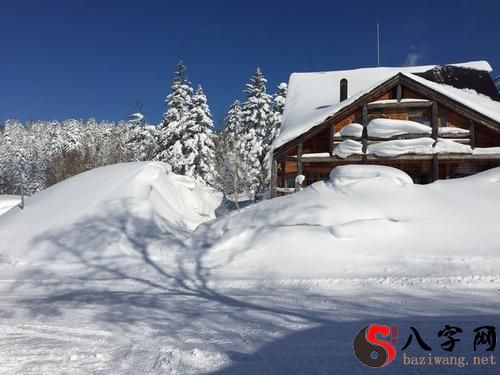 Dreaming of thick white snow