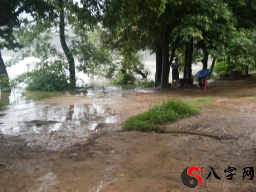 Dreaming of a flooded road