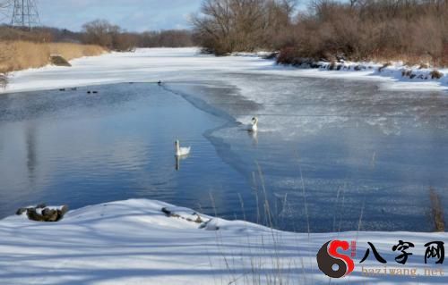 Dreaming of a river with water and ice
