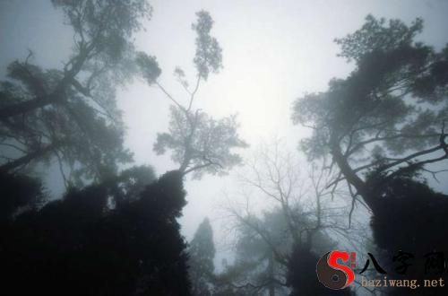 Dreaming of mists