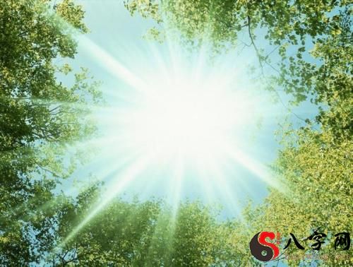 Dreaming of strong and sunny sunlight