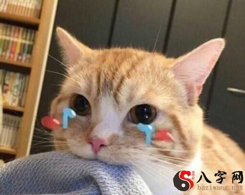 Wake up crying in a dream