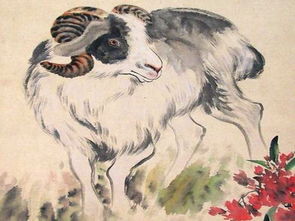 Girl's name with five elements of the pig that lack wood