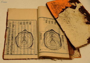 The Five Characteristics of the Birth Character (whether the Eight Character or the Five Character is important in naming)