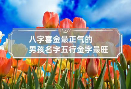 Eight characters like gold should be named with gold (eight characters like gold is not to choose the name of the five elements of the word gold)