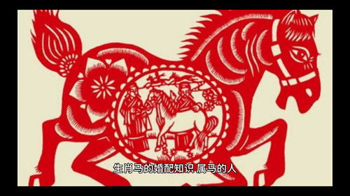 1966 Horse Marriage