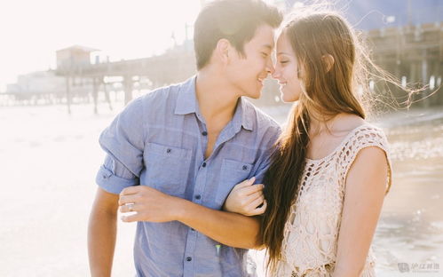 Male Horse Female Rabbit Marriage Compatibility