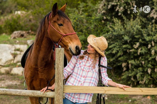 2002 Horse Girl Life Horoscope