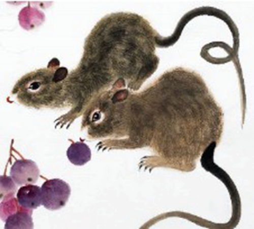Horse and Rat are compatible.