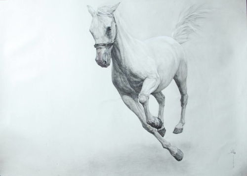 The best age to marry a 2002 Horse