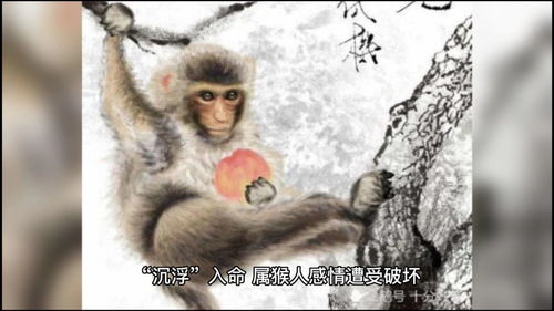 1956 Monkey 2023 Horoscope