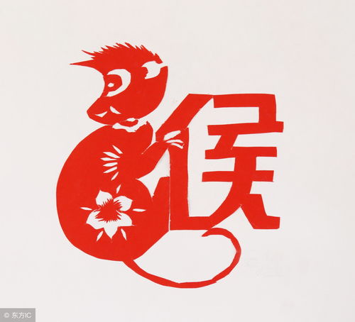 How many sons and daughters does a monkey have in his life