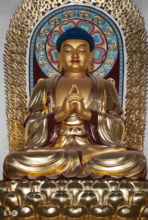 Monkey Da Ri Ru Lai