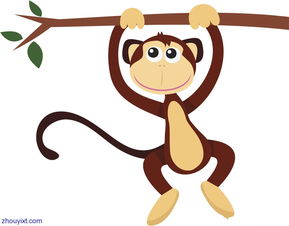 Boys Monkeys and What Genus Match