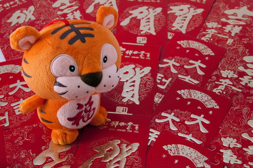 Monkey and Tiger Match