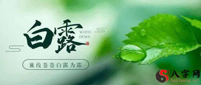 【Seasonal Health and Wellness】 Twenty-four Seasonal Health and Wellness Hitchhiker White Dew Season Health and Wellness