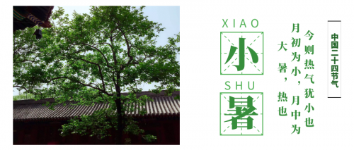 Daiman Zi Wei Dou Shu Monthly Fortune: July 6 (Little Summer) to August 7 (Autumn)